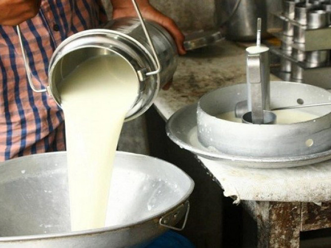दूधको मूल्य घट्दा किसान निराश